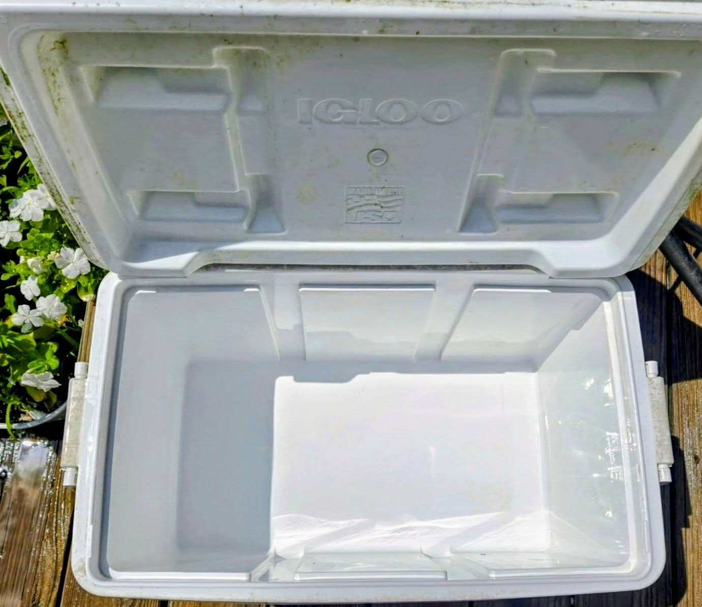After one treatment with CoolerRx tablets: the same cooler with a clean, rinsed interior