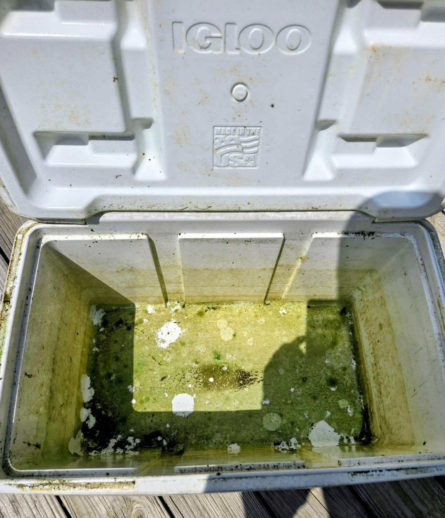 Before: stained interior of a white cooler